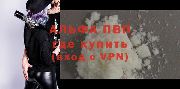 стафф Алексин