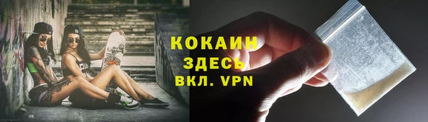 стафф Алексин