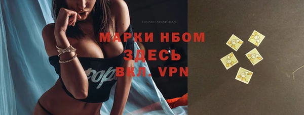 стафф Алексин
