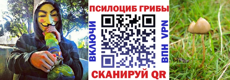 Галлюциногенные грибы GOLDEN TEACHER  Чёрмоз 